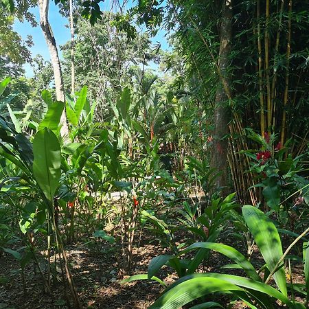 Puerto Viejo de TalamancaEl Jardin De Playa Negra别墅 外观 照片