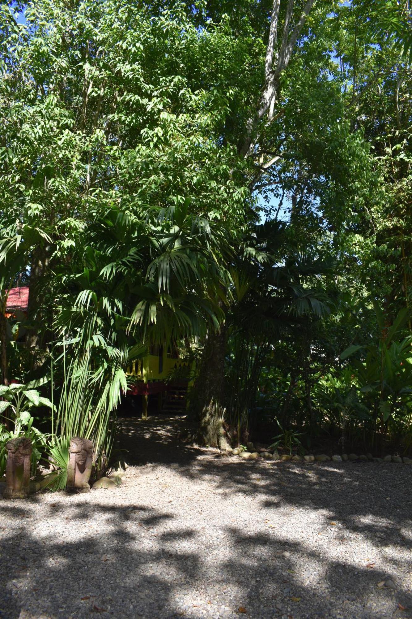 Puerto Viejo de TalamancaEl Jardin De Playa Negra别墅 外观 照片