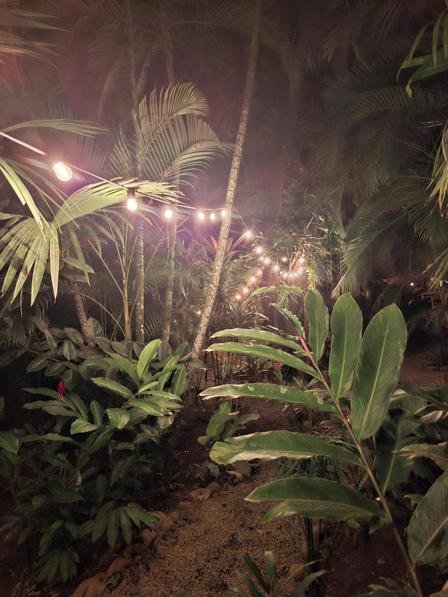 Puerto Viejo de TalamancaEl Jardin De Playa Negra别墅 外观 照片
