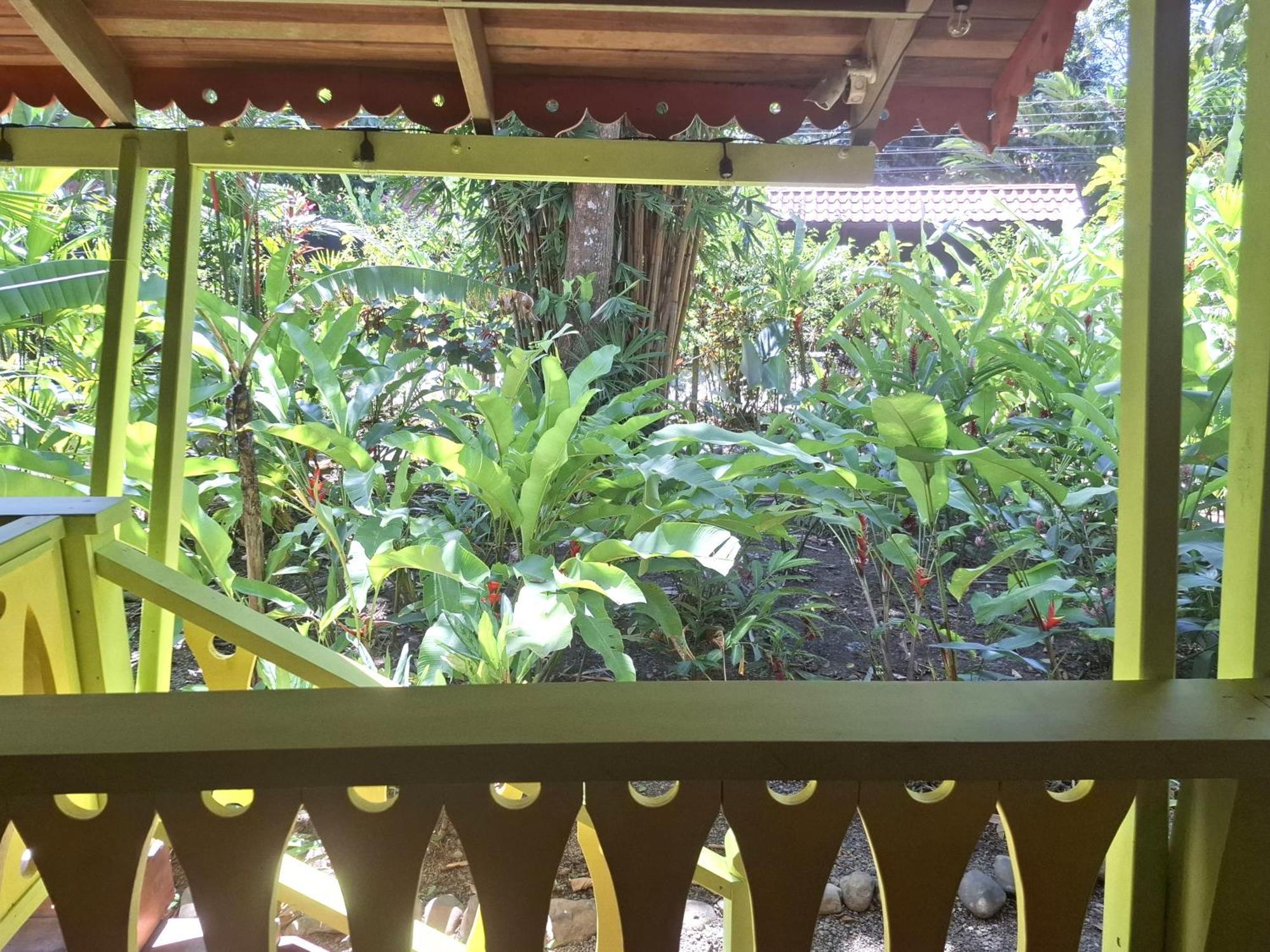 Puerto Viejo de TalamancaEl Jardin De Playa Negra别墅 外观 照片