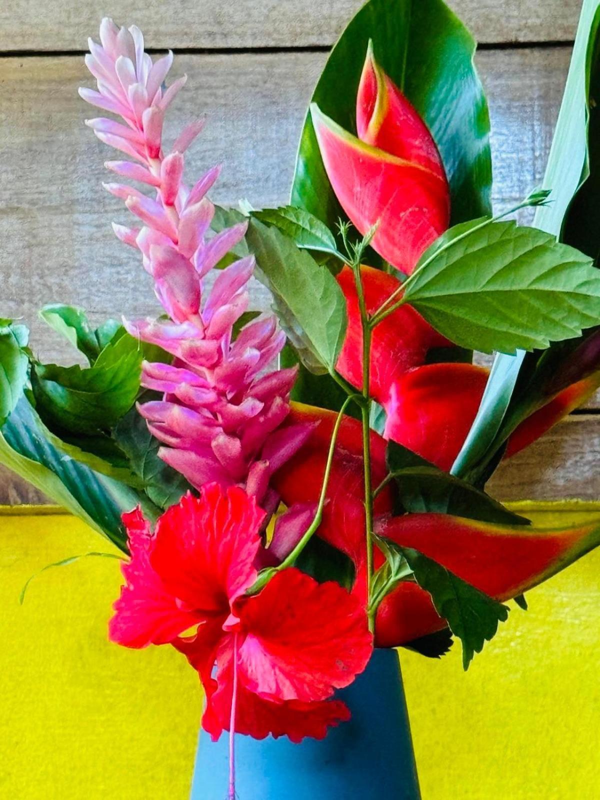 Puerto Viejo de TalamancaEl Jardin De Playa Negra别墅 外观 照片