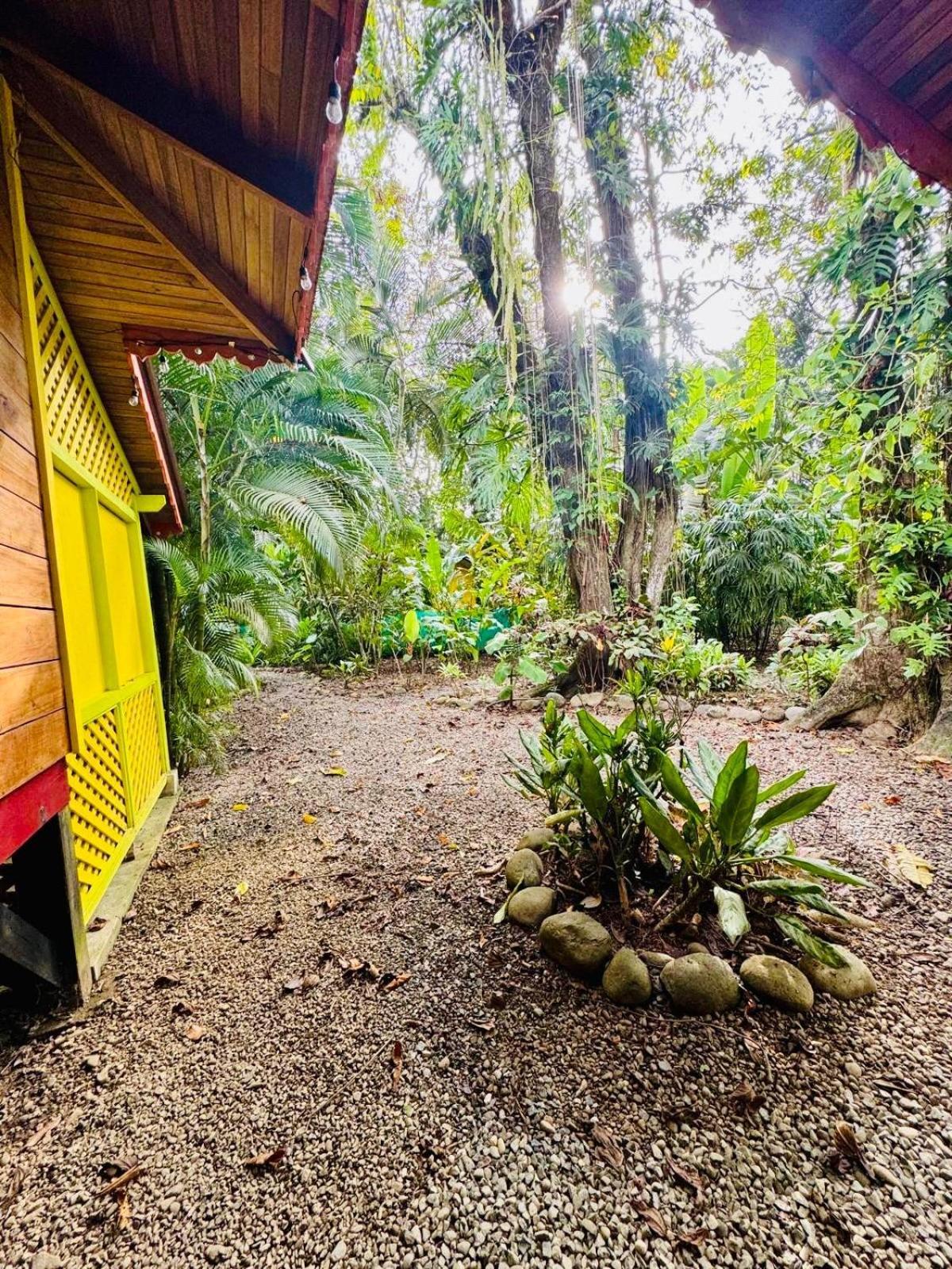 Puerto Viejo de TalamancaEl Jardin De Playa Negra别墅 外观 照片