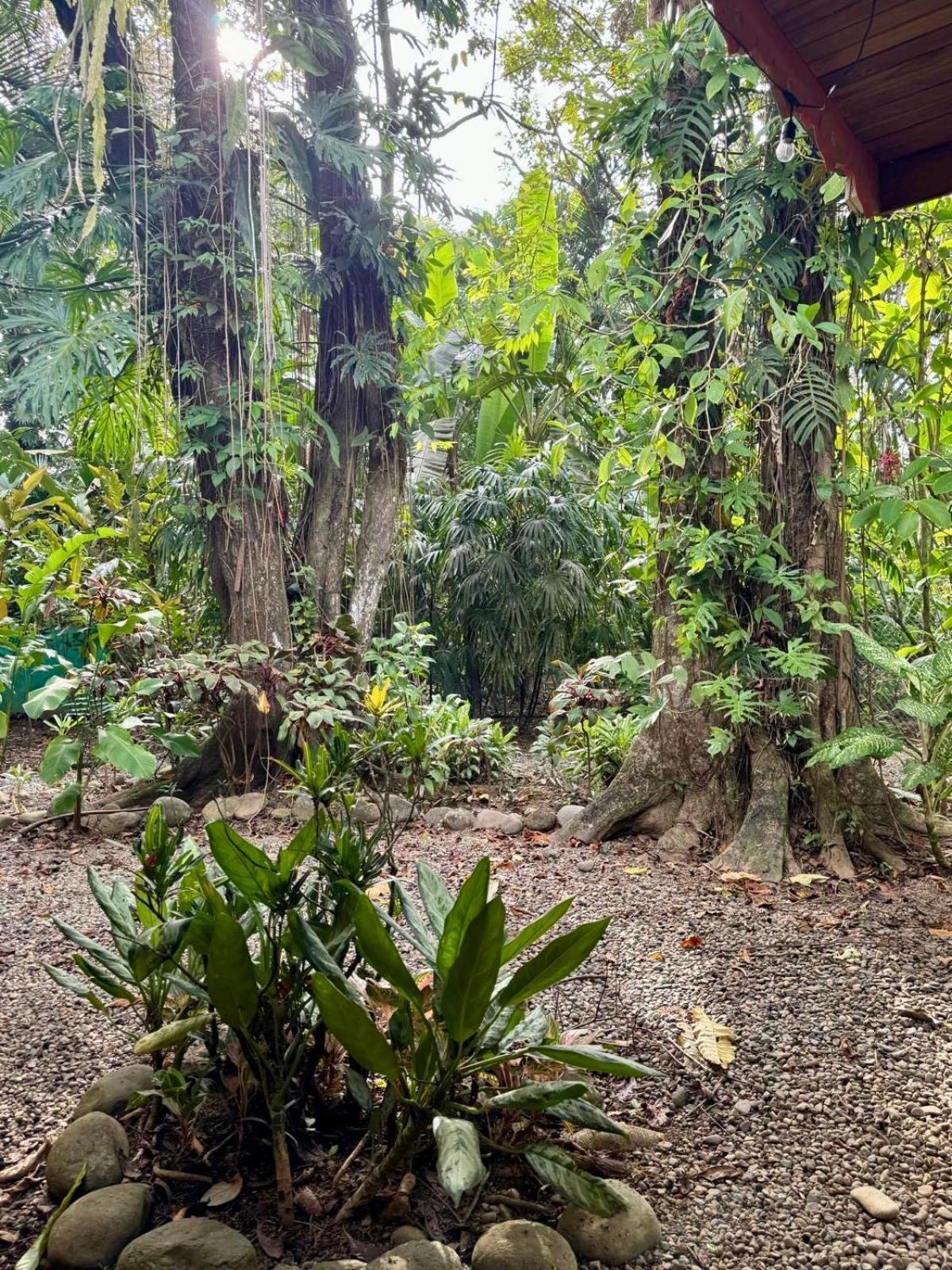 Puerto Viejo de TalamancaEl Jardin De Playa Negra别墅 外观 照片