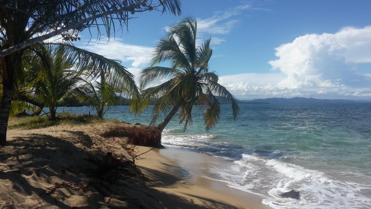 Puerto Viejo de TalamancaEl Jardin De Playa Negra别墅 外观 照片