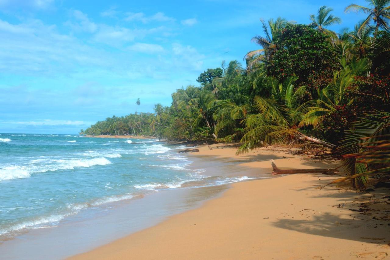 Puerto Viejo de TalamancaEl Jardin De Playa Negra别墅 外观 照片